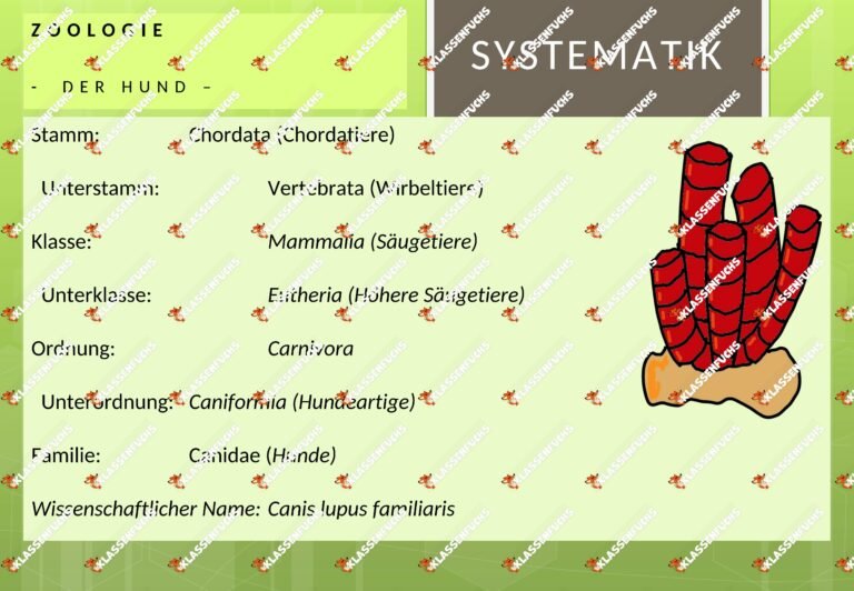 Zoologie: Taxonomie und Klassifikation